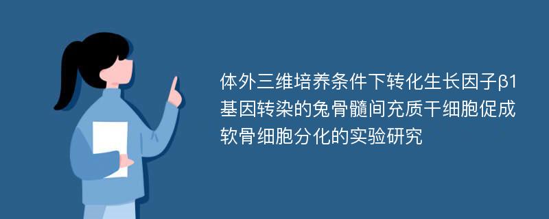 体外三维培养条件下转化生长因子β1基因转染的兔骨髓间充质干细胞促成软骨细胞分化的实验研究