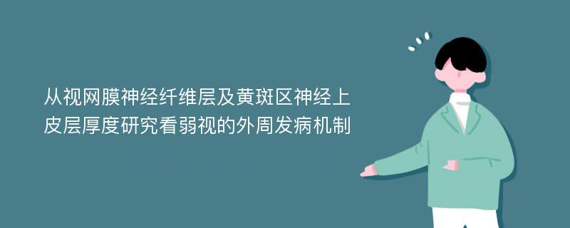 从视网膜神经纤维层及黄斑区神经上皮层厚度研究看弱视的外周发病机制