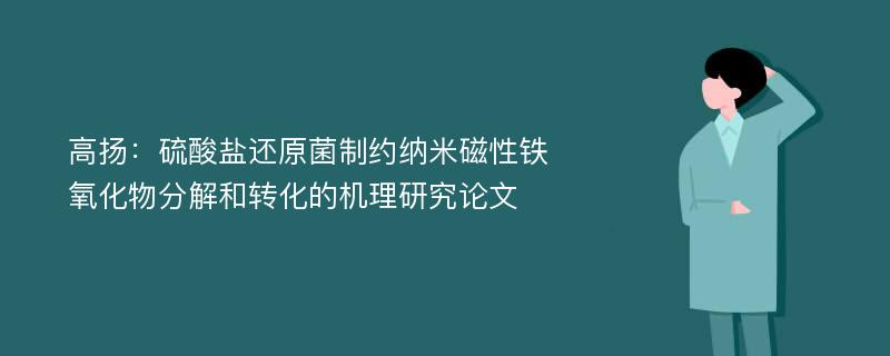 高扬：硫酸盐还原菌制约纳米磁性铁氧化物分解和转化的机理研究论文