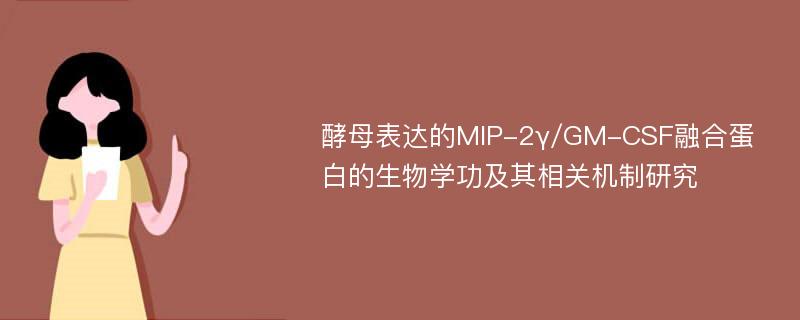 酵母表达的MIP-2γ/GM-CSF融合蛋白的生物学功及其相关机制研究