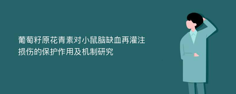 葡萄籽原花青素对小鼠脑缺血再灌注损伤的保护作用及机制研究