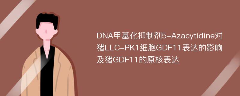 DNA甲基化抑制剂5-Azacytidine对猪LLC-PK1细胞GDF11表达的影响及猪GDF11的原核表达