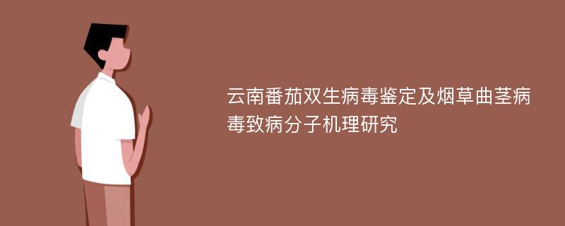 云南番茄双生病毒鉴定及烟草曲茎病毒致病分子机理研究