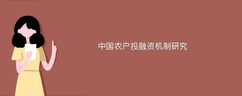 中国农户投融资机制研究