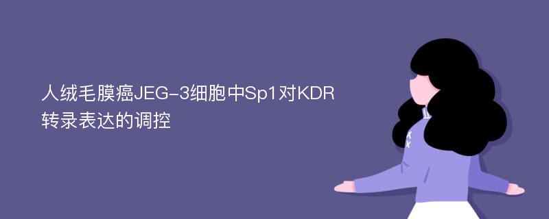 人绒毛膜癌JEG-3细胞中Sp1对KDR转录表达的调控