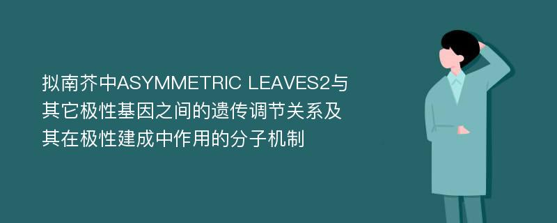 拟南芥中ASYMMETRIC LEAVES2与其它极性基因之间的遗传调节关系及其在极性建成中作用的分子机制