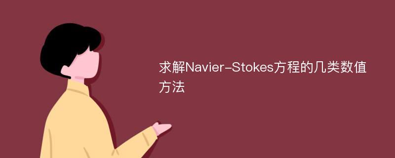 求解Navier-Stokes方程的几类数值方法