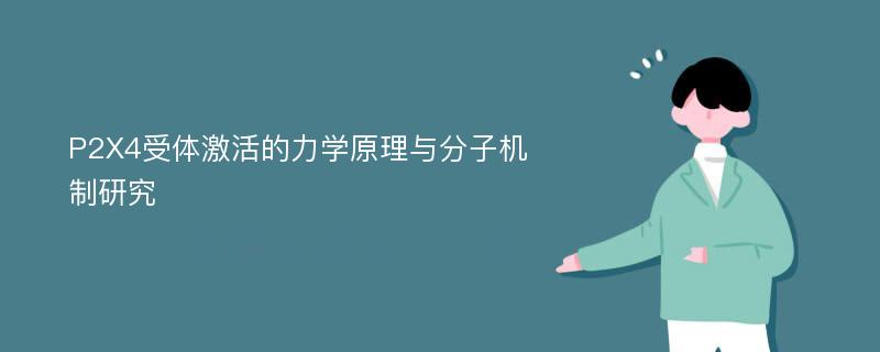 P2X4受体激活的力学原理与分子机制研究