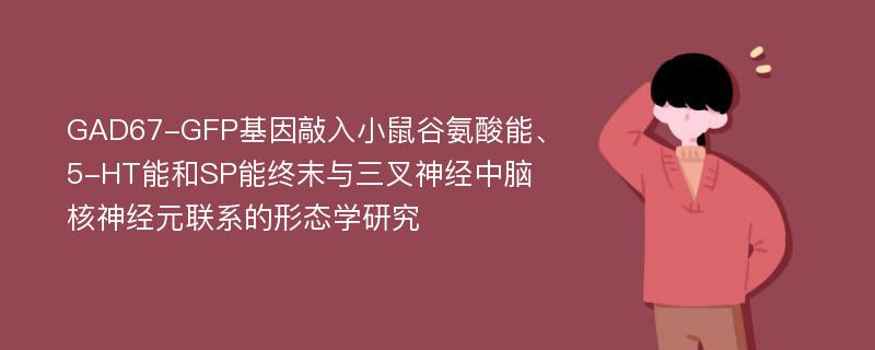 GAD67-GFP基因敲入小鼠谷氨酸能、5-HT能和SP能终末与三叉神经中脑核神经元联系的形态学研究