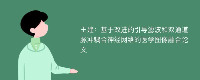 王建：基于改进的引导滤波和双通道脉冲耦合神经网络的医学图像融合论文