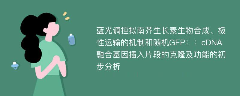 蓝光调控拟南芥生长素生物合成、极性运输的机制和随机GFP：：cDNA融合基因插入片段的克隆及功能的初步分析