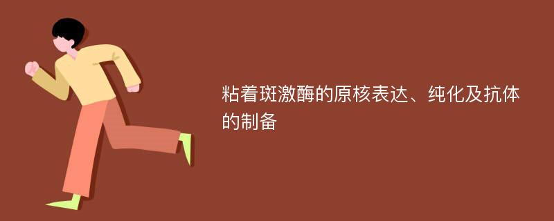 粘着斑激酶的原核表达、纯化及抗体的制备