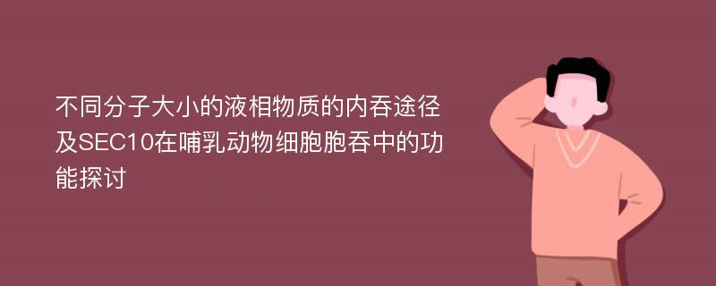 不同分子大小的液相物质的内吞途径及SEC10在哺乳动物细胞胞吞中的功能探讨