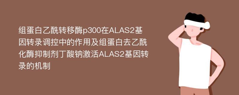 组蛋白乙酰转移酶p300在ALAS2基因转录调控中的作用及组蛋白去乙酰化酶抑制剂丁酸钠激活ALAS2基因转录的机制