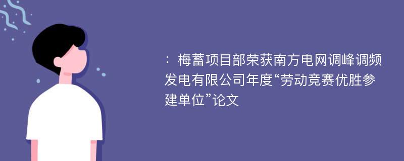 ：梅蓄项目部荣获南方电网调峰调频发电有限公司年度“劳动竞赛优胜参建单位”论文