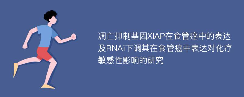 凋亡抑制基因XIAP在食管癌中的表达及RNAi下调其在食管癌中表达对化疗敏感性影响的研究