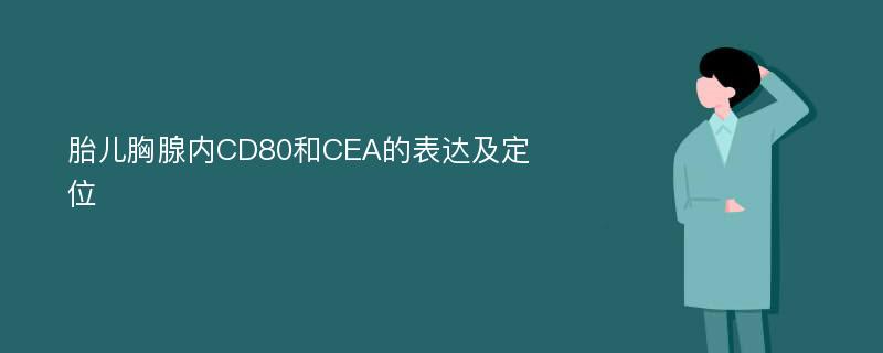 胎儿胸腺内CD80和CEA的表达及定位