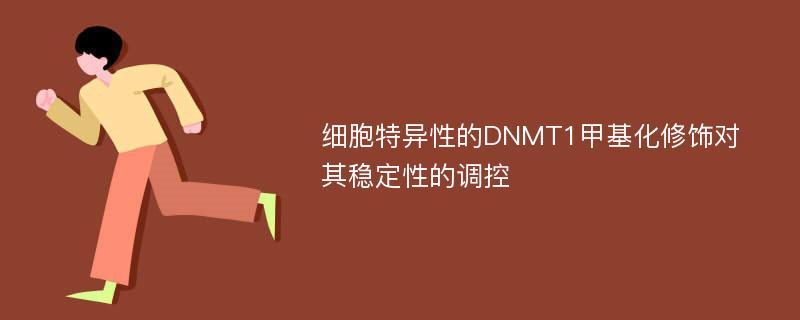 细胞特异性的DNMT1甲基化修饰对其稳定性的调控