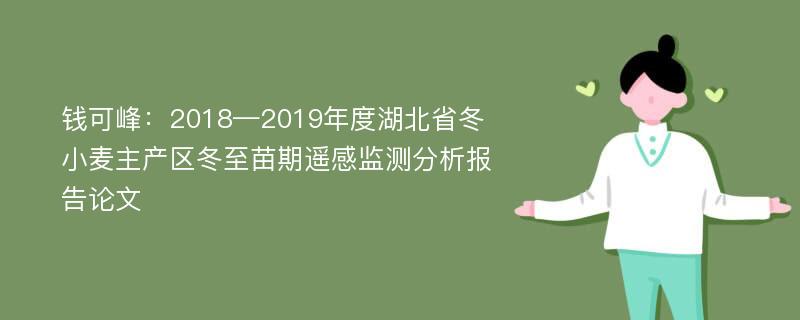 钱可峰：2018—2019年度湖北省冬小麦主产区冬至苗期遥感监测分析报告论文