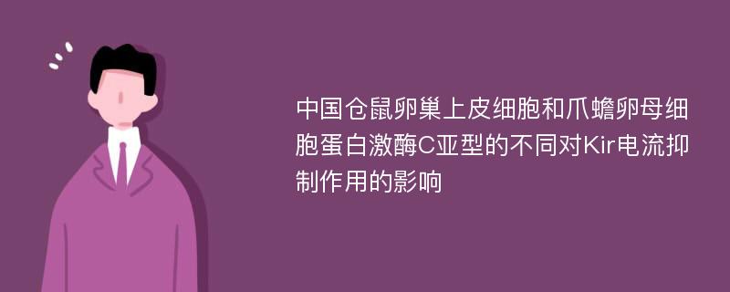 中国仓鼠卵巢上皮细胞和爪蟾卵母细胞蛋白激酶C亚型的不同对Kir电流抑制作用的影响