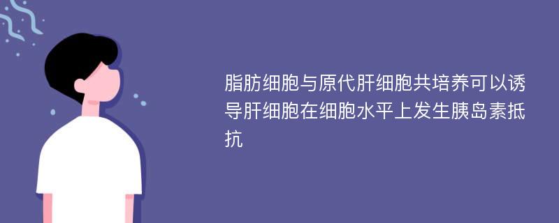 脂肪细胞与原代肝细胞共培养可以诱导肝细胞在细胞水平上发生胰岛素抵抗