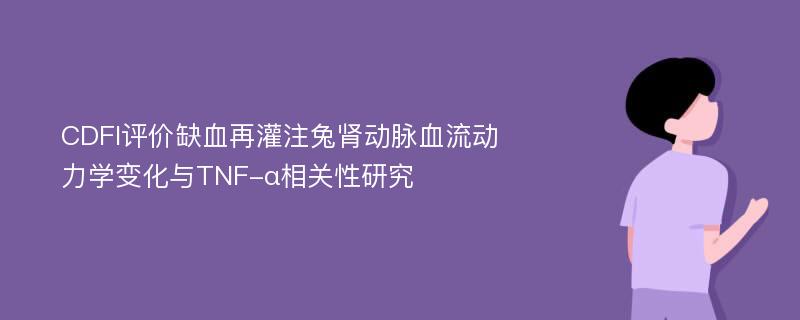 CDFI评价缺血再灌注兔肾动脉血流动力学变化与TNF-α相关性研究