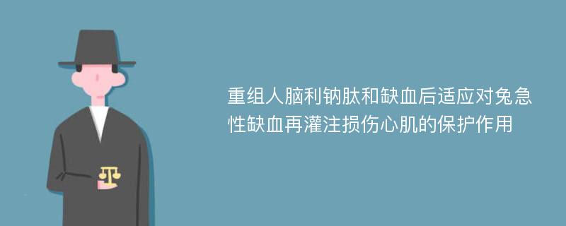 重组人脑利钠肽和缺血后适应对兔急性缺血再灌注损伤心肌的保护作用