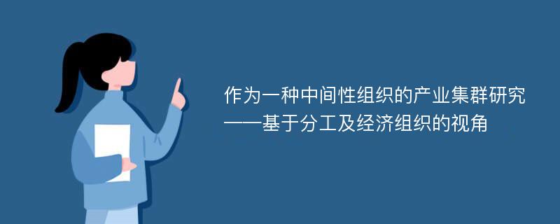 作为一种中间性组织的产业集群研究 ——基于分工及经济组织的视角