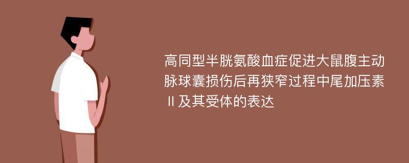 高同型半胱氨酸血症促进大鼠腹主动脉球囊损伤后再狭窄过程中尾加压素Ⅱ及其受体的表达