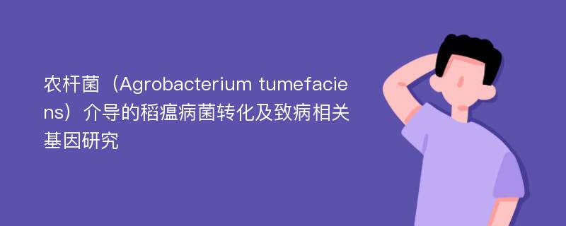 农杆菌（Agrobacterium tumefaciens）介导的稻瘟病菌转化及致病相关基因研究