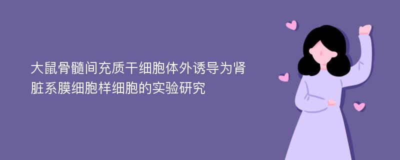 大鼠骨髓间充质干细胞体外诱导为肾脏系膜细胞样细胞的实验研究