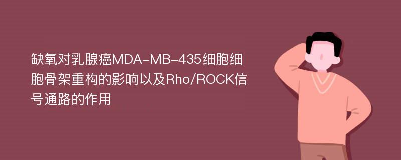 缺氧对乳腺癌MDA-MB-435细胞细胞骨架重构的影响以及Rho/ROCK信号通路的作用