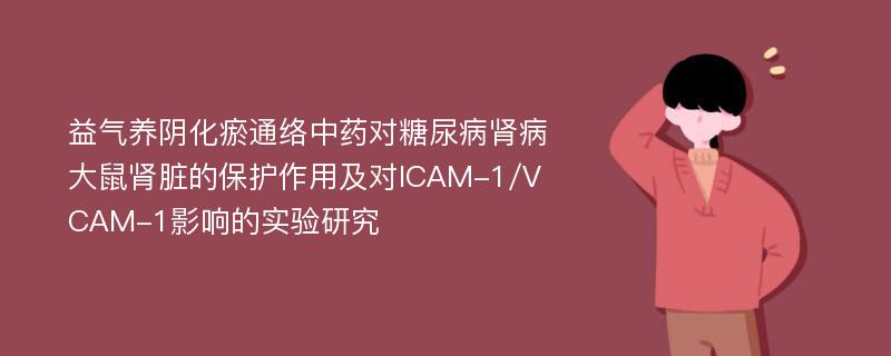 益气养阴化瘀通络中药对糖尿病肾病大鼠肾脏的保护作用及对ICAM-1/VCAM-1影响的实验研究