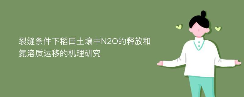 裂缝条件下稻田土壤中N2O的释放和氮溶质运移的机理研究