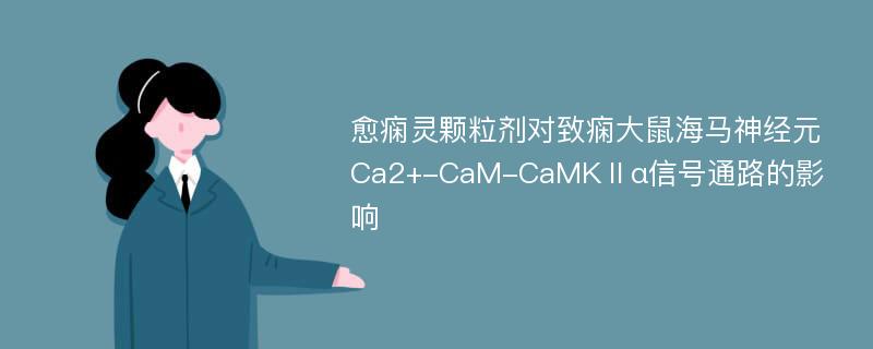 愈痫灵颗粒剂对致痫大鼠海马神经元Ca2+-CaM-CaMKⅡα信号通路的影响