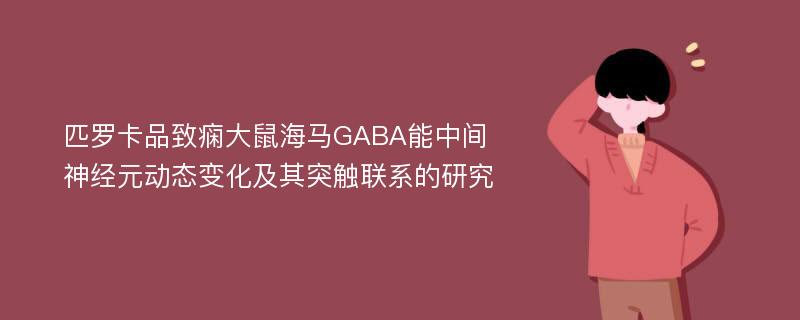 匹罗卡品致痫大鼠海马GABA能中间神经元动态变化及其突触联系的研究