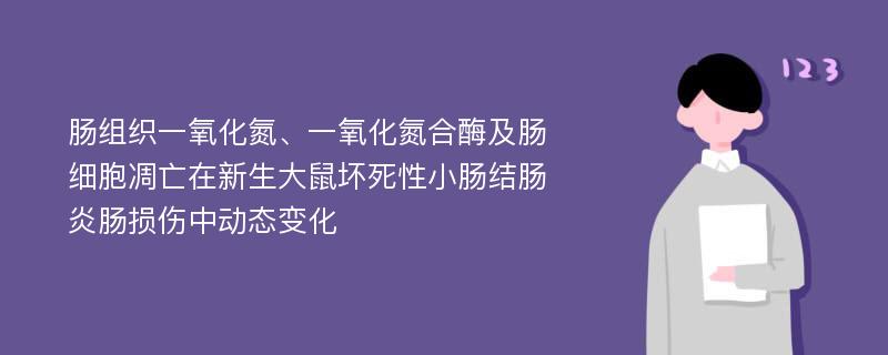 肠组织一氧化氮、一氧化氮合酶及肠细胞凋亡在新生大鼠坏死性小肠结肠炎肠损伤中动态变化