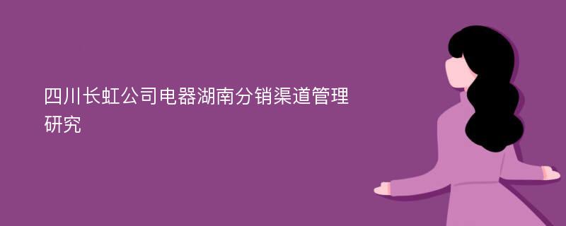 四川长虹公司电器湖南分销渠道管理研究