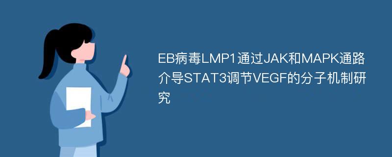 EB病毒LMP1通过JAK和MAPK通路介导STAT3调节VEGF的分子机制研究