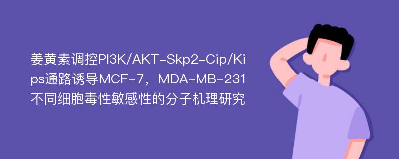 姜黄素调控PI3K/AKT-Skp2-Cip/Kips通路诱导MCF-7，MDA-MB-231不同细胞毒性敏感性的分子机理研究