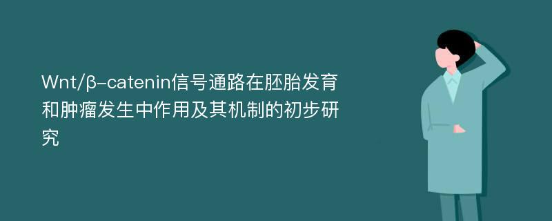 Wnt/β-catenin信号通路在胚胎发育和肿瘤发生中作用及其机制的初步研究