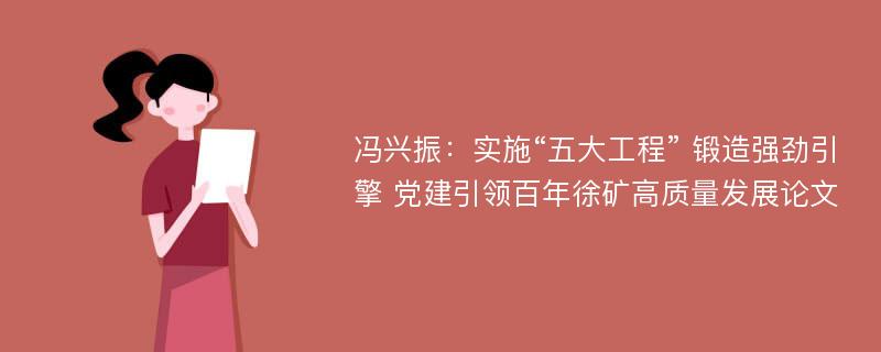 冯兴振：实施“五大工程” 锻造强劲引擎 党建引领百年徐矿高质量发展论文