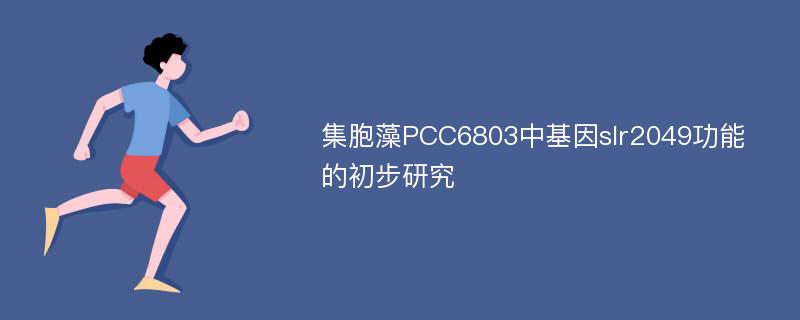 集胞藻PCC6803中基因slr2049功能的初步研究