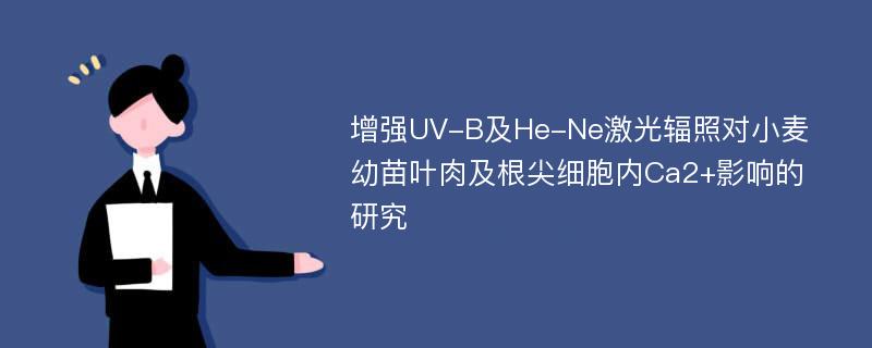 增强UV-B及He-Ne激光辐照对小麦幼苗叶肉及根尖细胞内Ca2+影响的研究