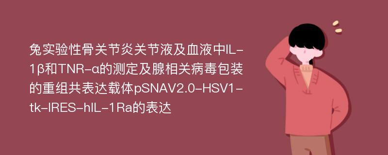 兔实验性骨关节炎关节液及血液中IL-1β和TNR-α的测定及腺相关病毒包装的重组共表达载体pSNAV2.0-HSV1-tk-IRES-hIL-1Ra的表达