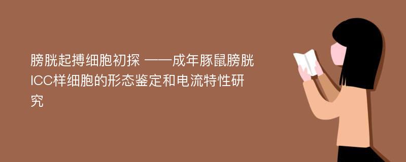 膀胱起搏细胞初探 ——成年豚鼠膀胱ICC样细胞的形态鉴定和电流特性研究