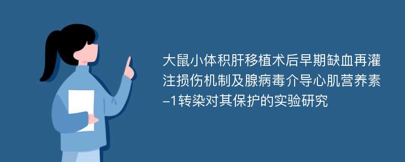 大鼠小体积肝移植术后早期缺血再灌注损伤机制及腺病毒介导心肌营养素-1转染对其保护的实验研究