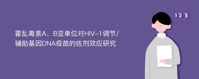 霍乱毒素A、B亚单位对HIV-1调节/辅助基因DNA疫苗的佐剂效应研究