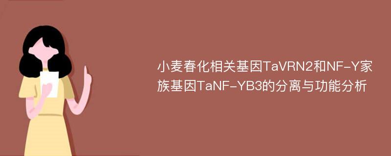 小麦春化相关基因TaVRN2和NF-Y家族基因TaNF-YB3的分离与功能分析