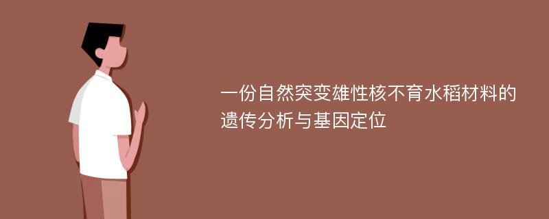 一份自然突变雄性核不育水稻材料的遗传分析与基因定位